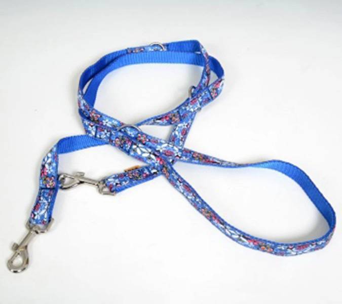 BF Nylonové přepínací vodítko kytičky modré 20 mm x 240 cm Velikost: 20 mm x 240 cm