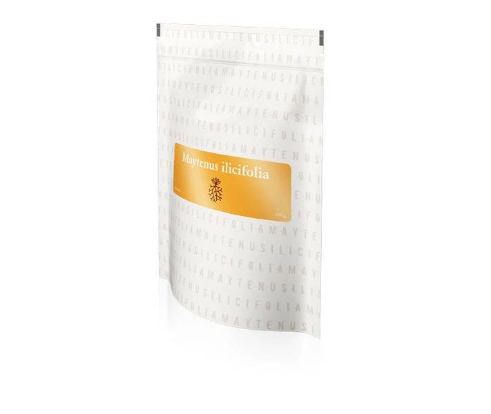 Energy Maytenus ilicifolia terapeutický čaj 105g