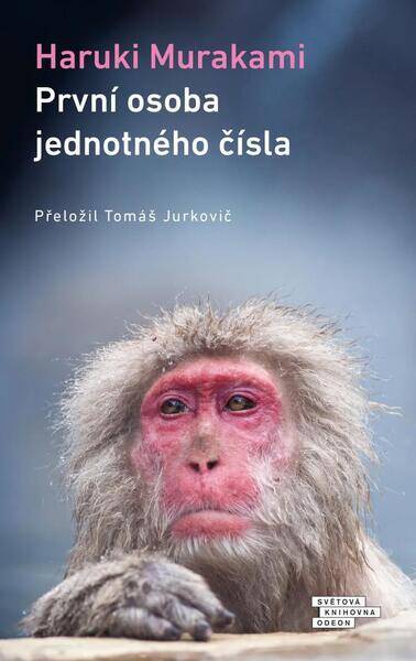 PrvnÃ­ osoba jednotnÃ©ho Ä�Ã­sla